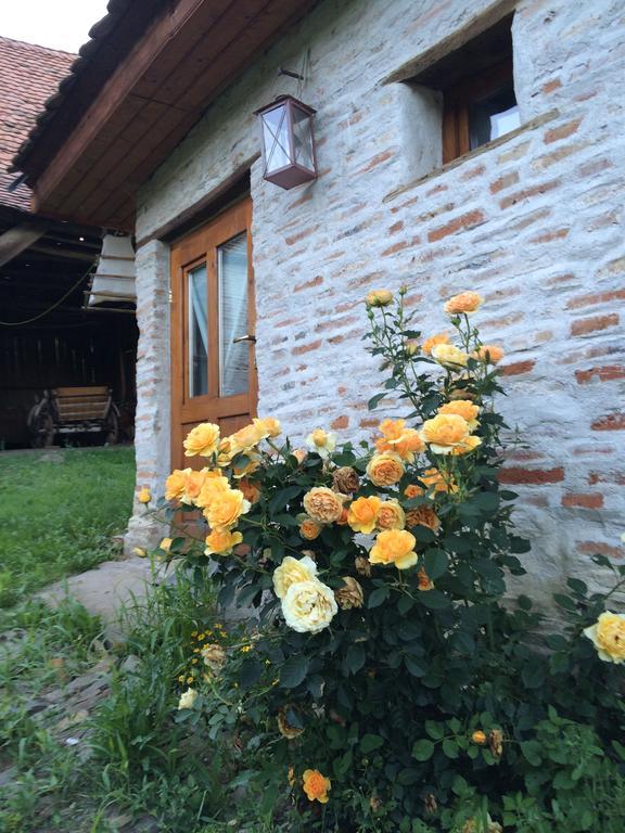 Dominic Boutique - Gardener'S Cottage Cloasterf Luaran gambar